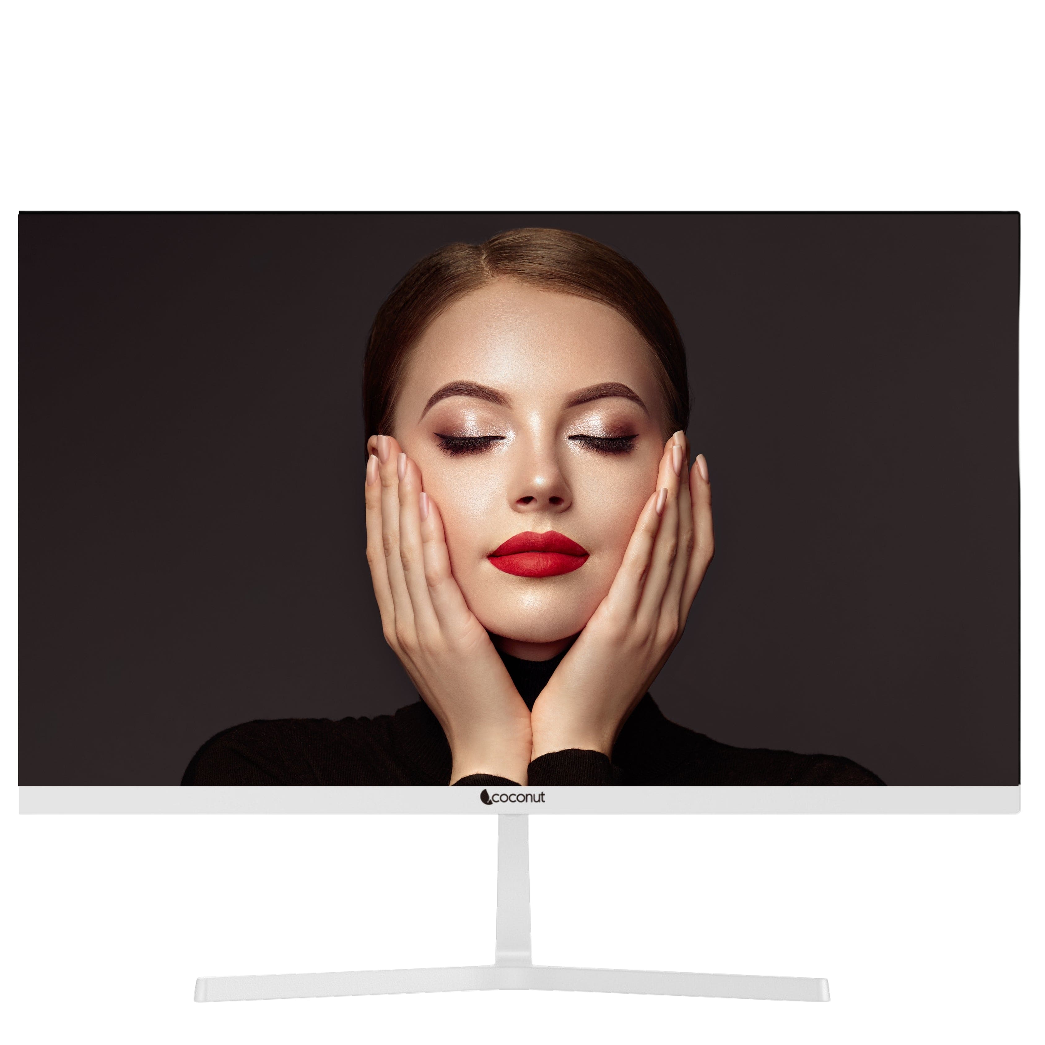 24 inch monitor